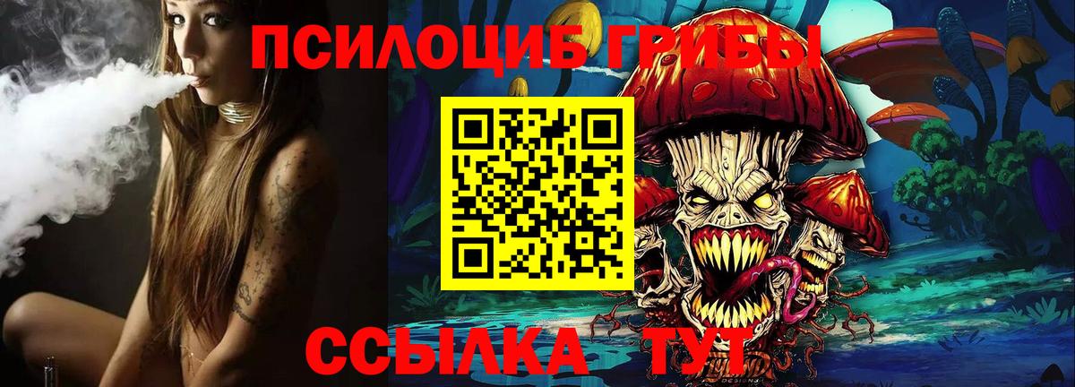Псилоцибиновые грибы Psilocybe  Вход с VPN  Томск 